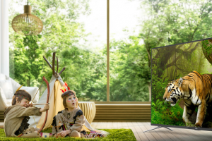 Качество изображения играет важную роль