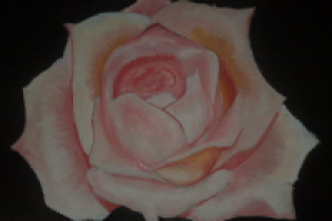 Картины написанный мною