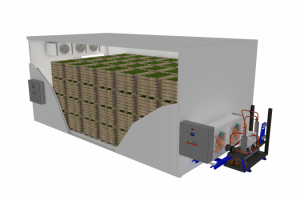 3Д моделирование и визуализация