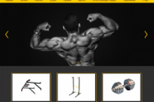 Интернет-магазин RuForce