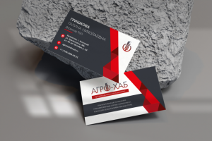 Визитки Агро-Хаб