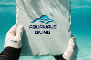 Создать логотип для Дайвинг-центра и подводного плавания.