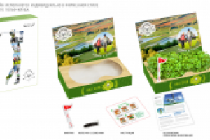 упаковка сувенира