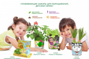 Работа 2699210