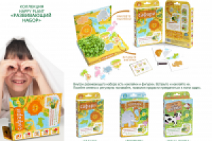 Работа 2699208