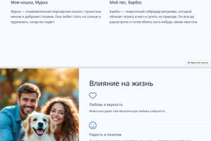 Презентация