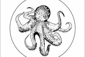 Отрисовка по фото. Векторный рисунок