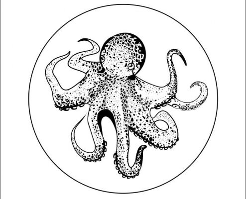 img3479005.png