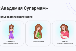 Презентация мобильного приложения