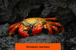 Раковарня «Империя раков»