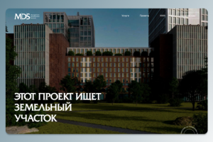 Managment Development Servies