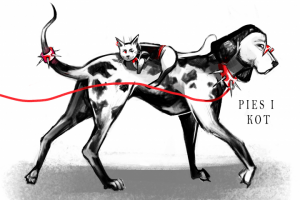 Серия работ "Животные панки"