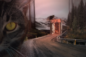 Котопортал