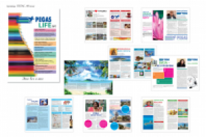 брошюра ПЕГАС, 48 полос