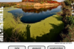 Календарь 5