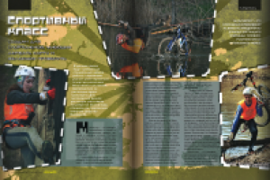 Мультигонка