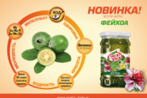 Работа 2362333