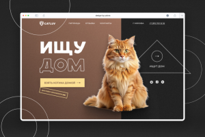 Дизайн-концепт для лендинга: кошачий приют