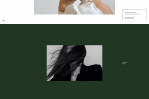 Сайт по услуге Гирудотерапии