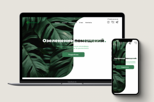 Озеленение офисов