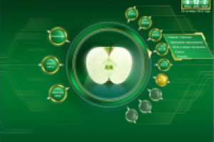 Заставка сайта