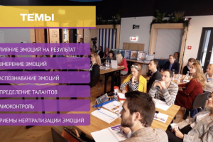 Видеоролик о учебной симуляции EQ factor