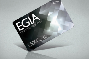 Подарочный сертификат "EGIA"