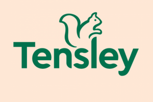 Дизайн логотипа "TENSLEY"