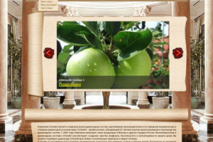 Работа 3279523