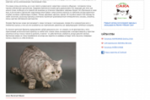 Работа 3279505