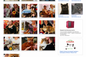 Работа 3279503