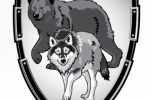 Работа 3279571