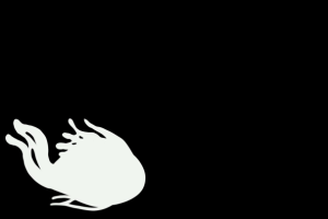 Ролик для фестиваля абстрактной анимации «Punto y Raya»