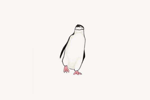img4132872.png