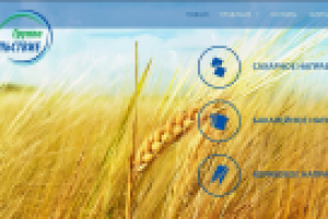 Сайт для компании продовольственных товаров