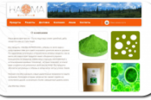 Интернет-магазин здорового питания