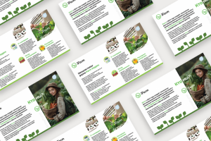 iFarm коммерческое предложение