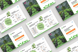 iFarm коммерческое предложение