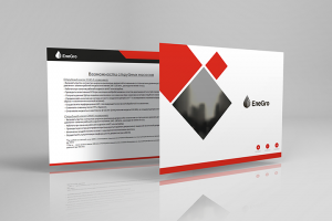 Enegro презентация Power Point