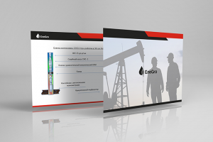 Enegro презентация Power Point