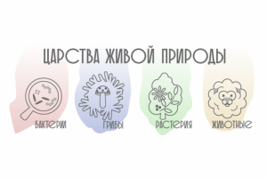 Царства живой природы