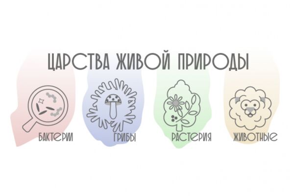 img4459455.png