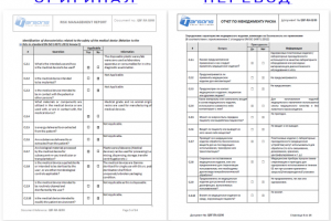 Перевод отчета по менеджменту риска