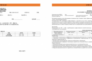 Отчёт по электроэнцефалограмме