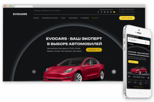 Продажа автомобилей Evocars