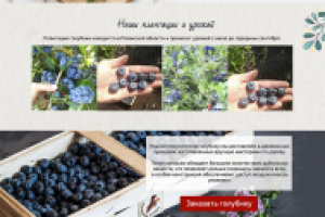 Landing Page "Продажа ягод"