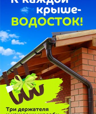 img4465559.png