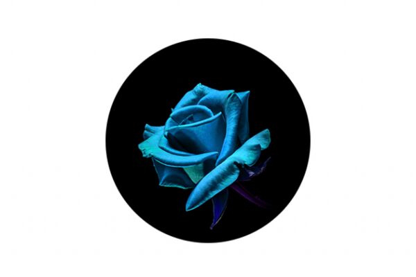 img3008150.png