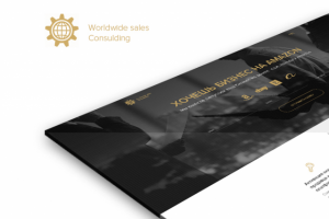 Коучинг Артура Фрейлиха