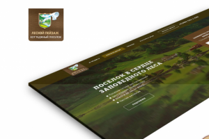 Лесной пейзаж